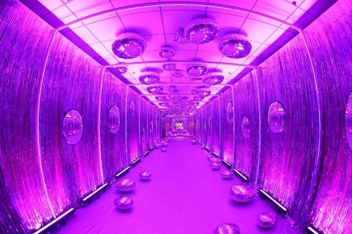 特色風情的年會活動以醒獅拉開序幕，還上演了一場異域風情的嘉年華