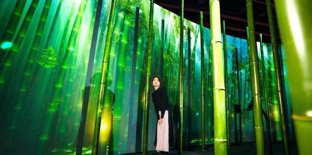 沉浸式的櫻花展覽策劃驚艷了廣大游客的目光，光影互動太厲害了！