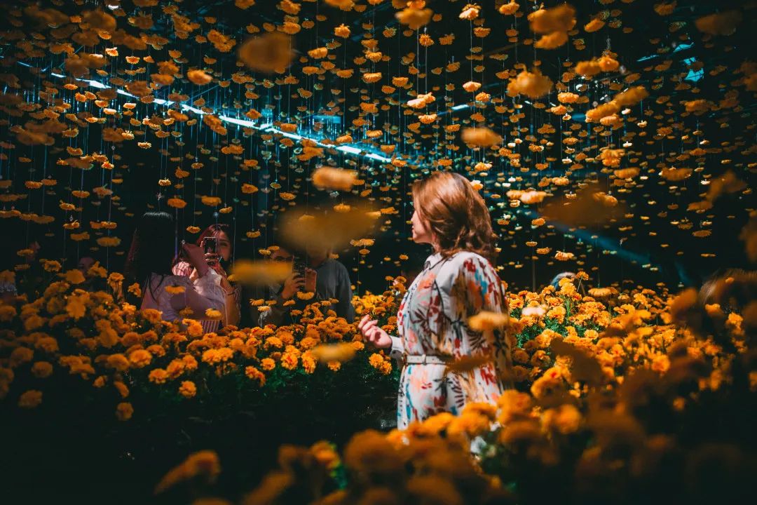 網(wǎng)紅打卡新地標：最Instagrammable主題展覽活動刷爆社交媒體圈