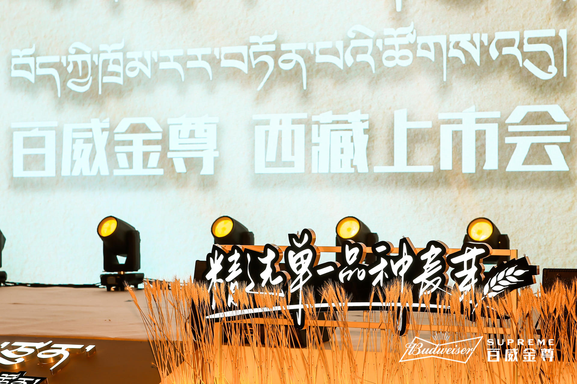 百威金尊西藏上市發(fā)布會活動策劃用心定制，現(xiàn)場麥芽裝飾盡享豐收