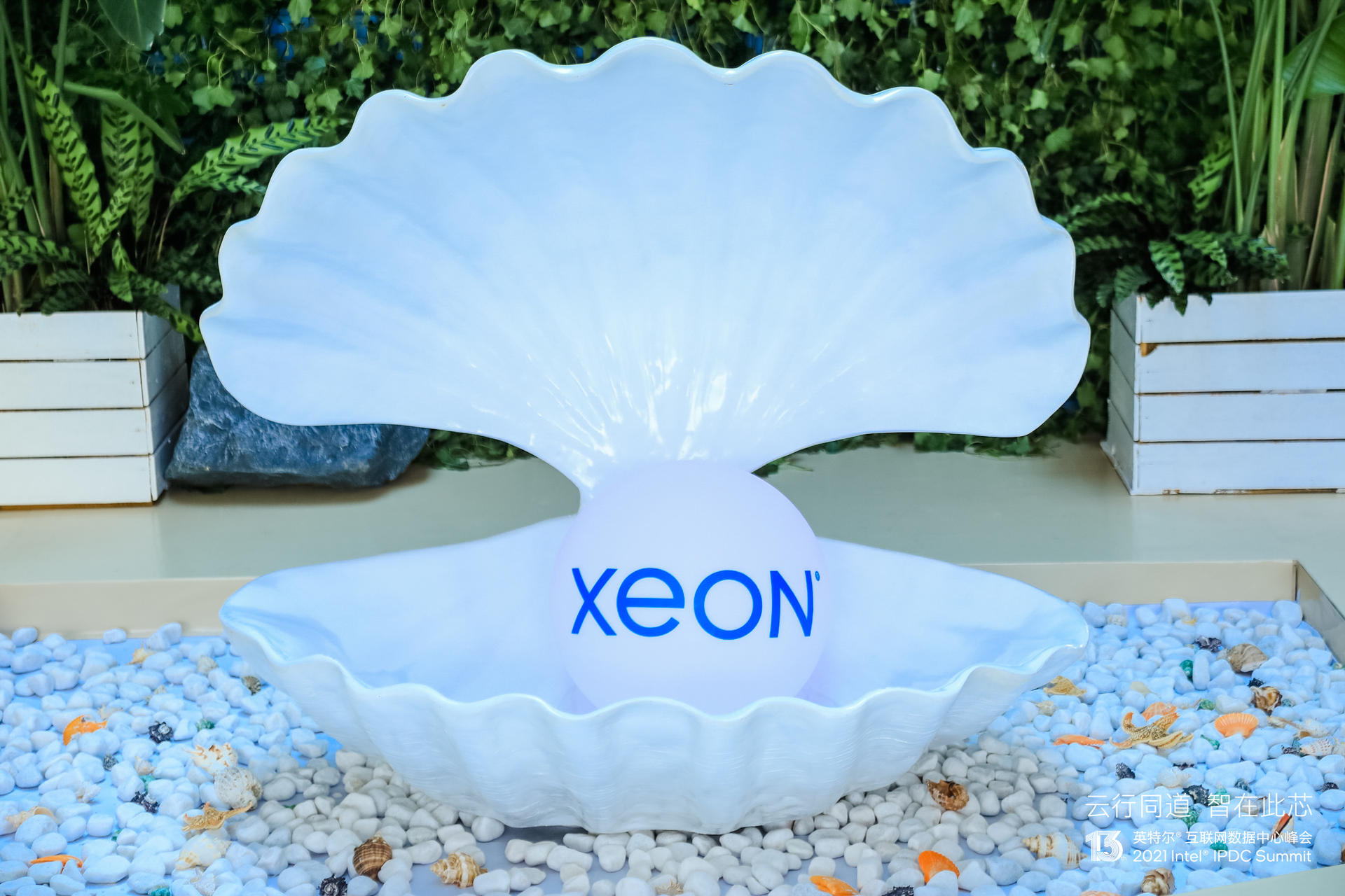 英特爾互聯(lián)網(wǎng)數(shù)據(jù)中心峰會活動策劃解鎖 “芯” 憧憬，織就新 “云” 圖