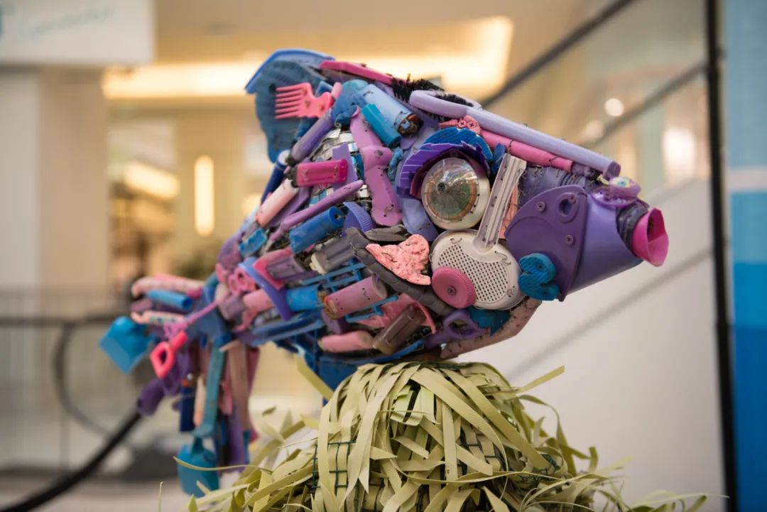 海洋垃圾藝術(shù)展覽活動(dòng)策劃的每一件作品都讓人驚嘆不已！